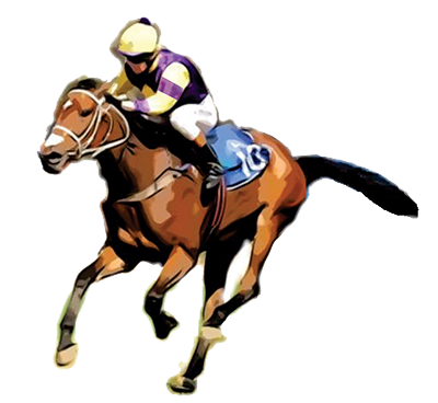 Horse System